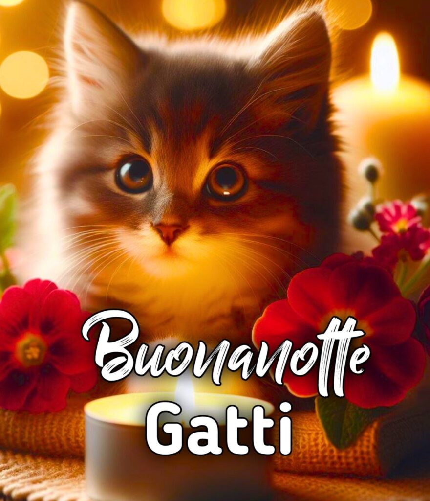 Buonanotte Gatto Silvestro