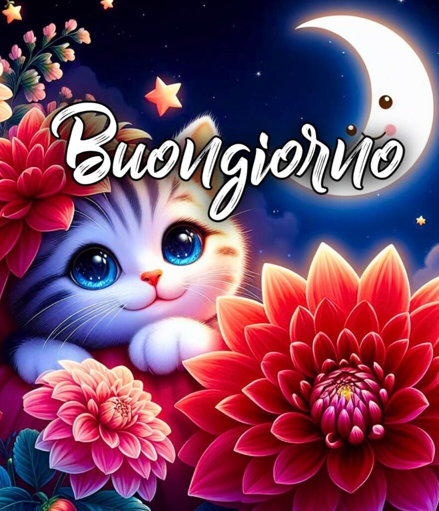 Buonanotte Immagini Belle