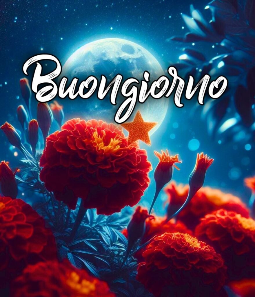 Buonanotte Immagini Belle Nuove