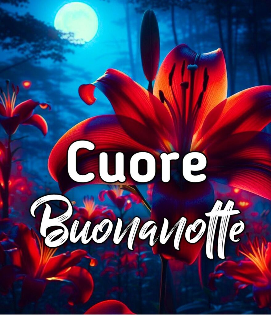 Buonanotte Le Fate Del Cuore