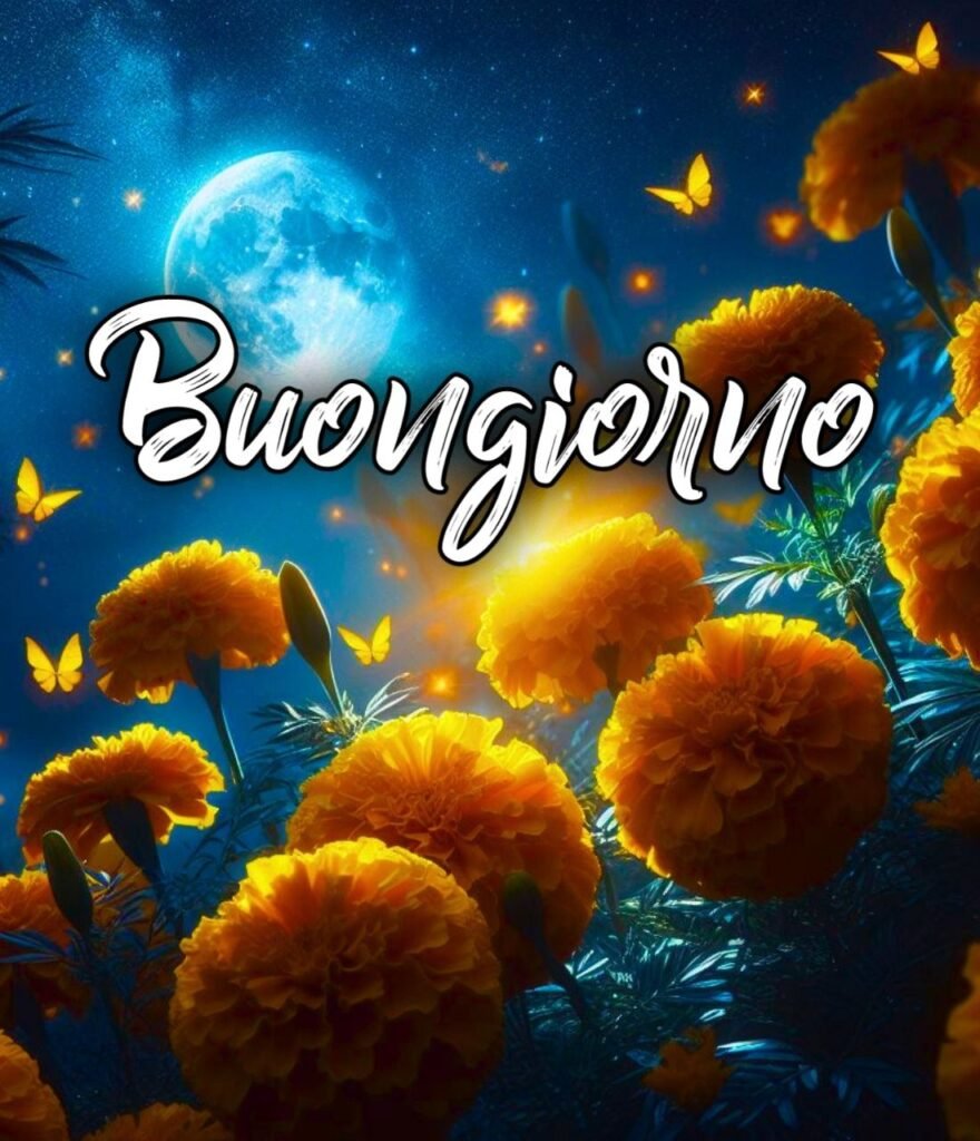 Buonanotte Sogni Belli Immagini