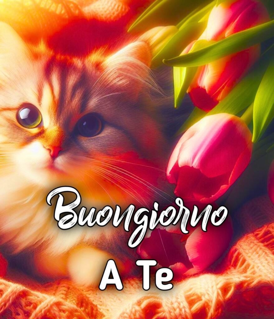 Buongiorno A Te Che Sei Speciale