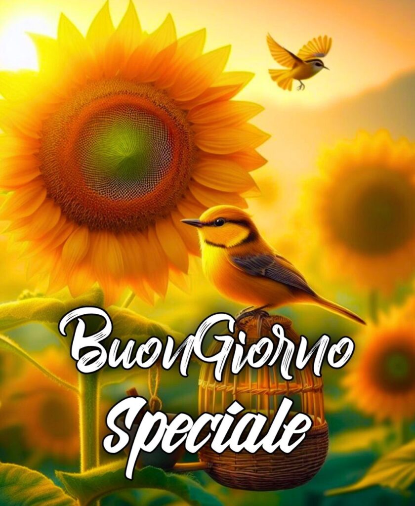 Buongiorno A Te Che Sei Speciale