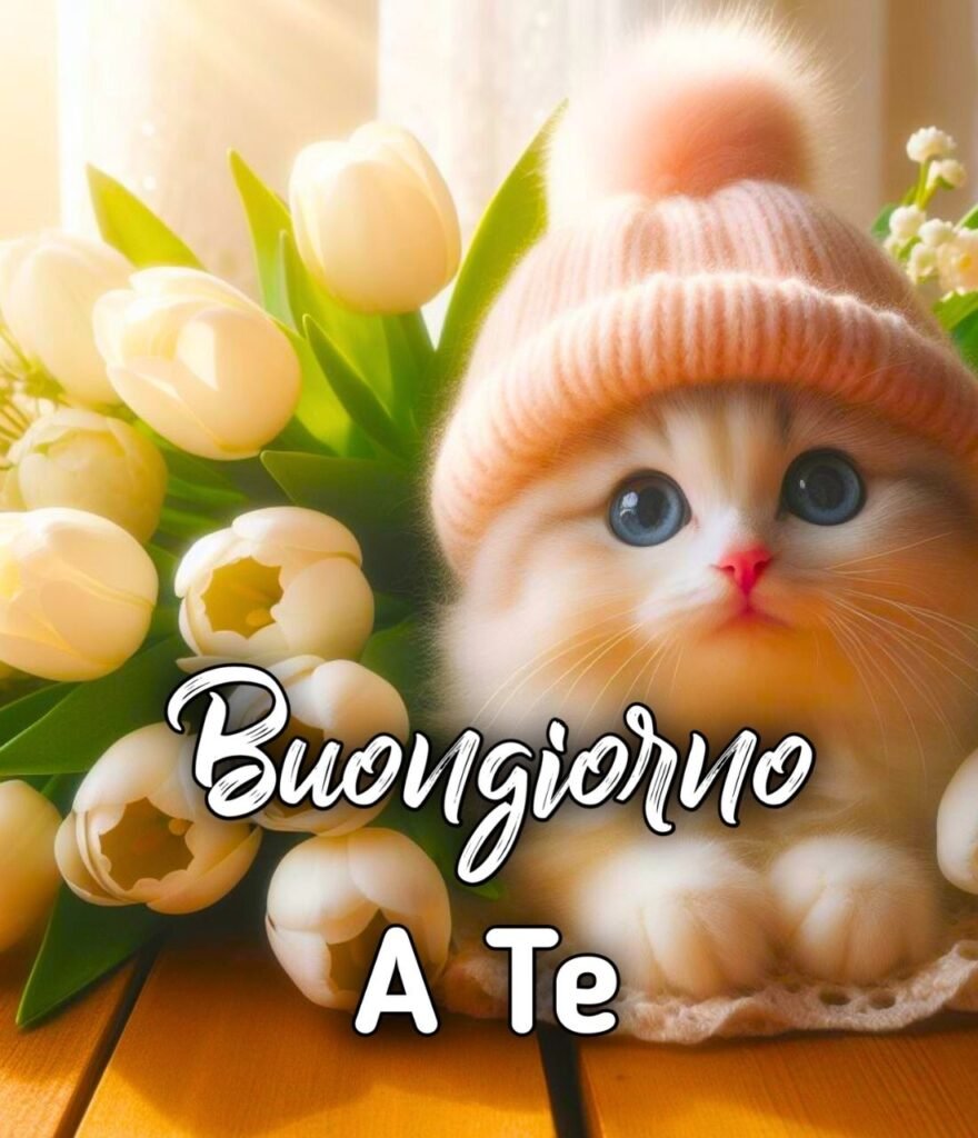 Buongiorno A Te Pavarotti