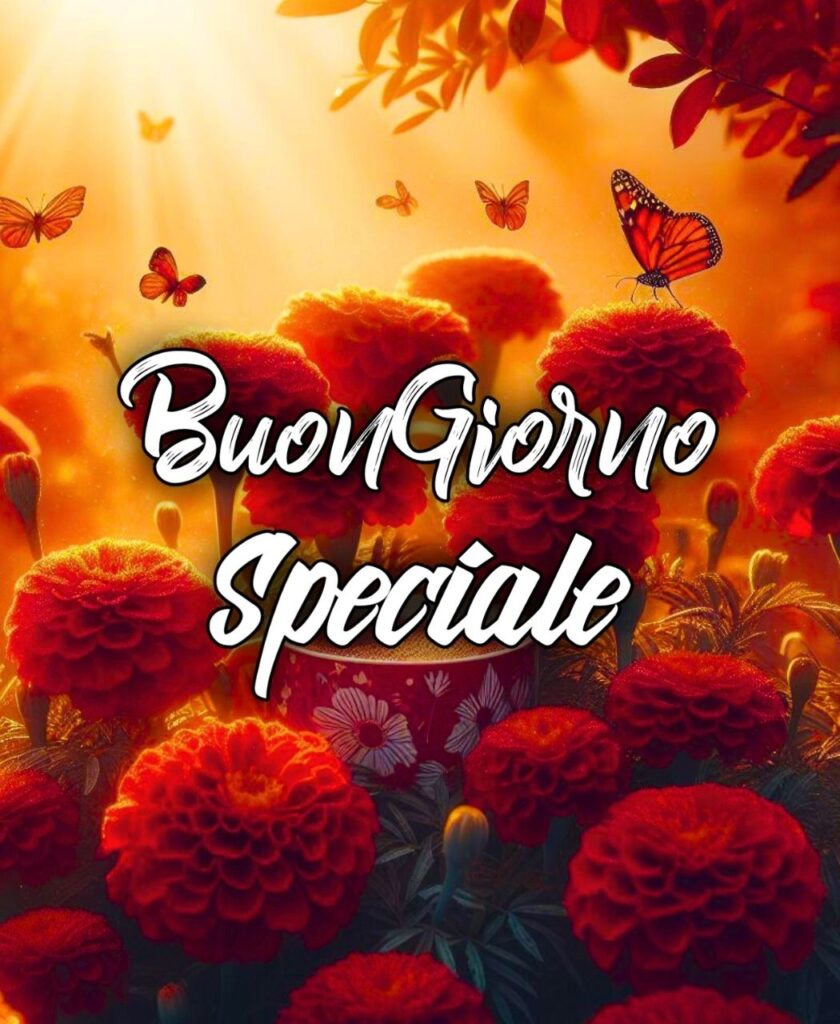 Buongiorno Amica Speciale Gif