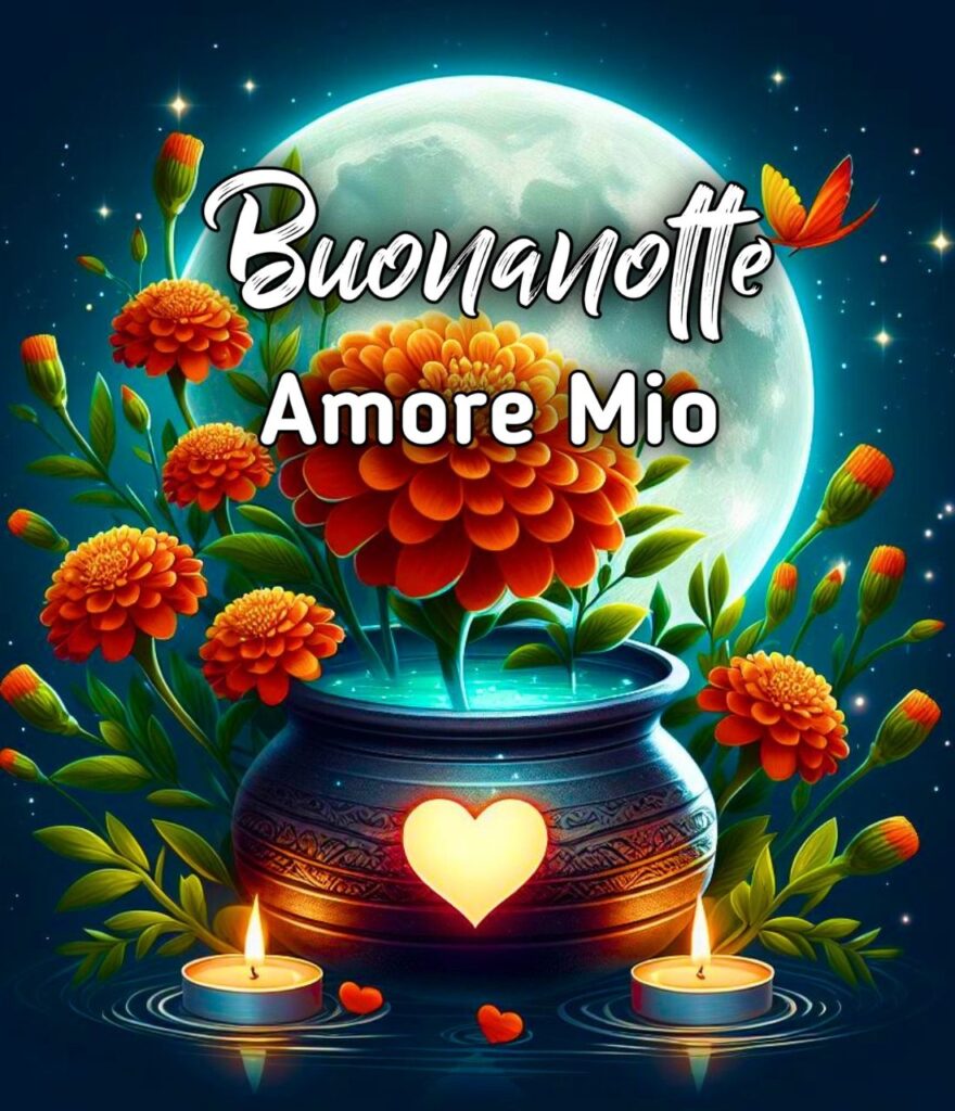 Buongiorno Amore Mio Ti Amo