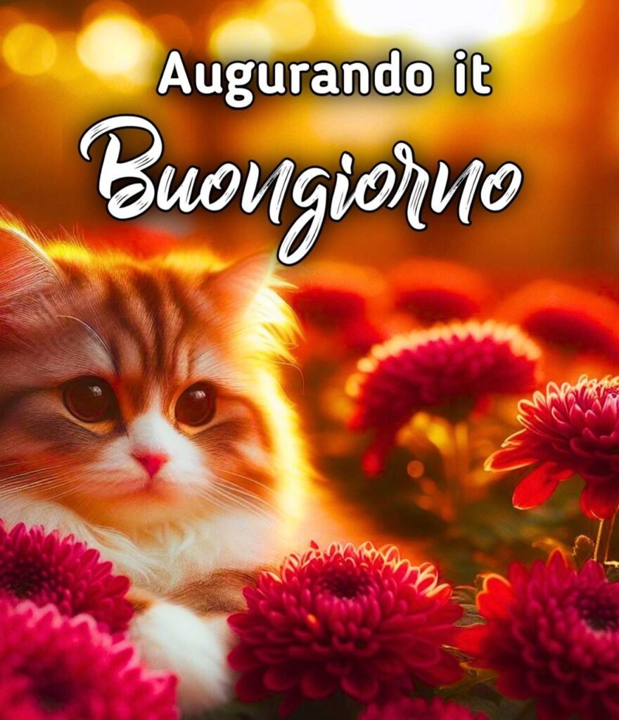 Buongiorno Augurando.it