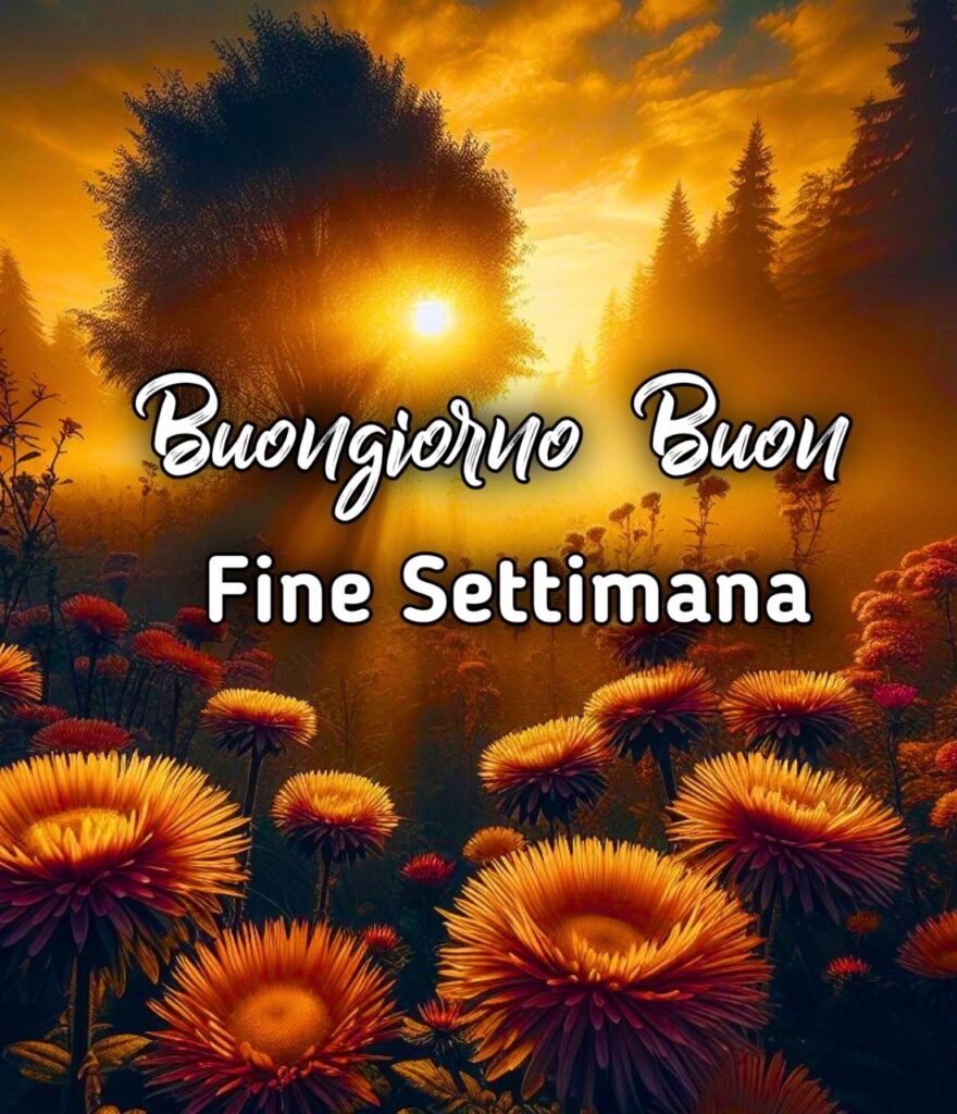 Buongiorno Buon Fine Settimana A Tutti