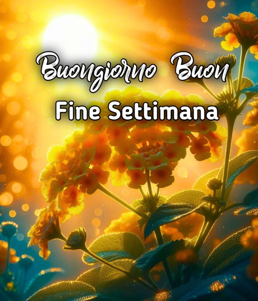 Buongiorno Buon Fine Settimana Buon Venerdì