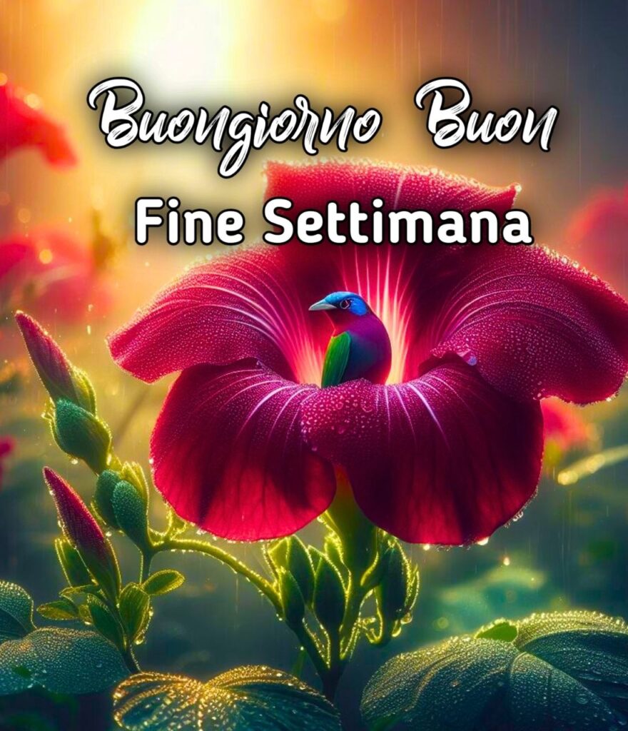 Buongiorno Buon Fine Settimana E Buon Sabato