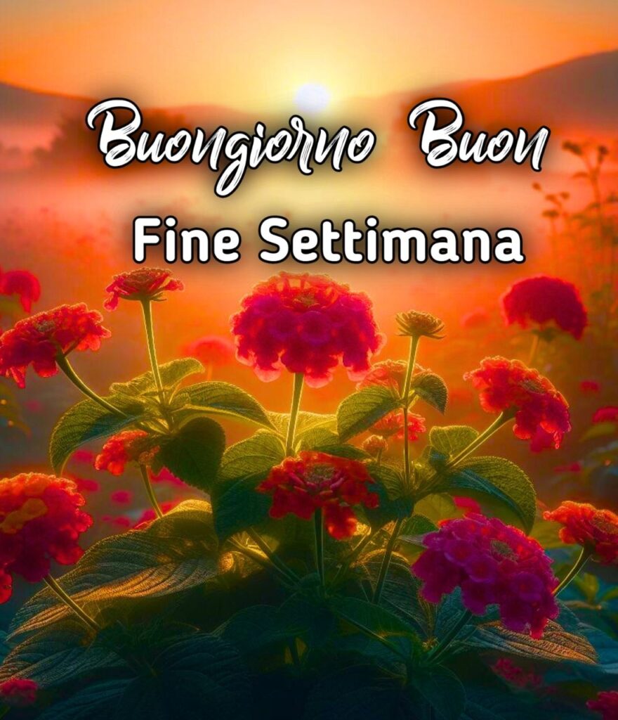 Buongiorno Buon Fine Settimana Freddo