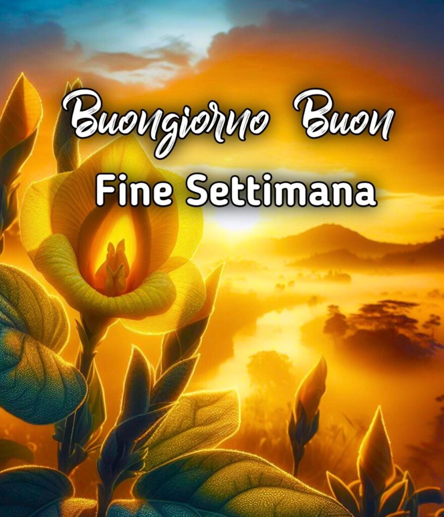 Buongiorno Buon Fine Settimana Gif