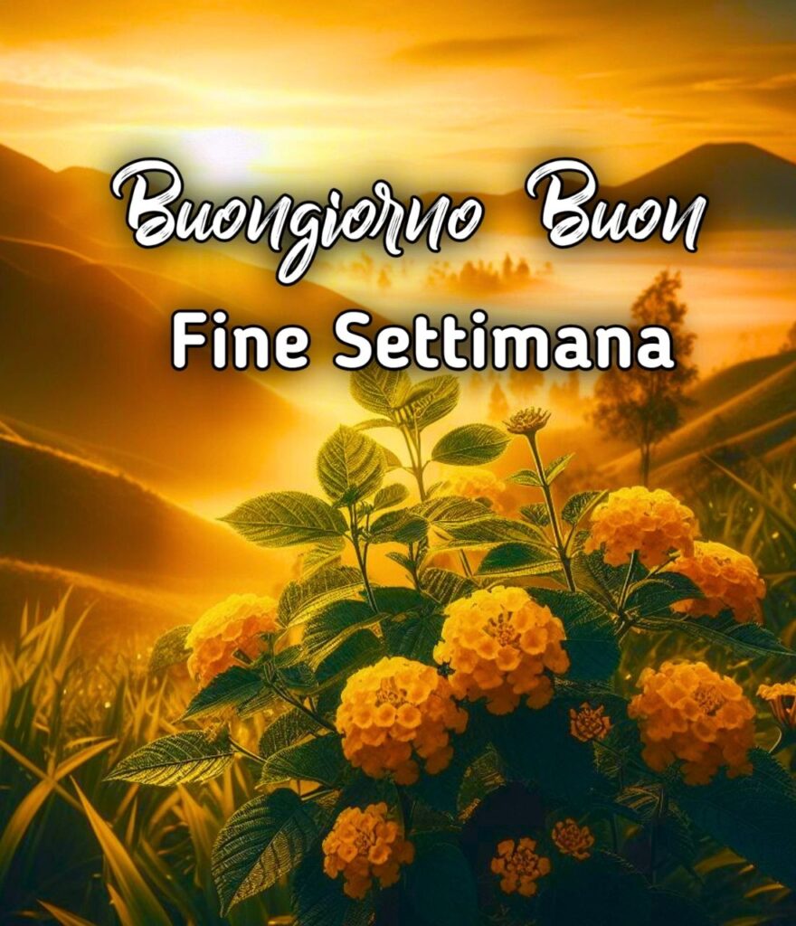 Buongiorno Buon Sabato Buon Fine Settimana Autunnale