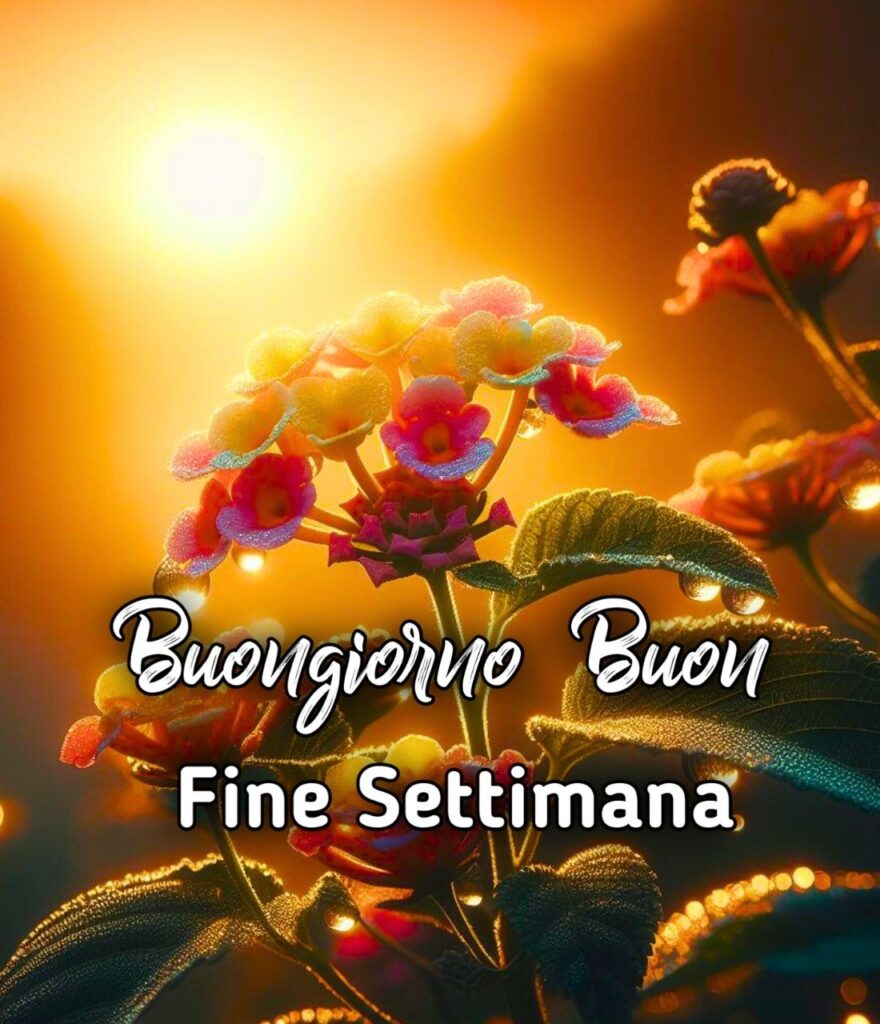 Buongiorno Buon Sabato Buon Fine Settimana Estivo