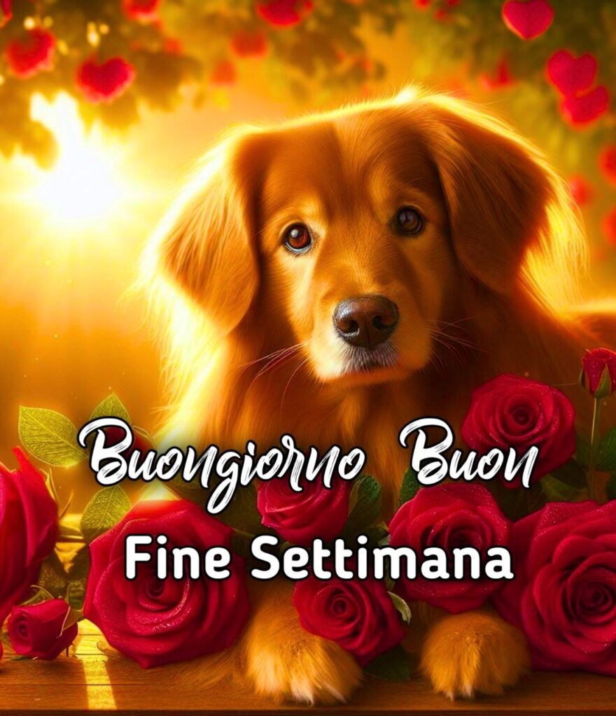 Buongiorno Buon Sabato E Fine Settimana