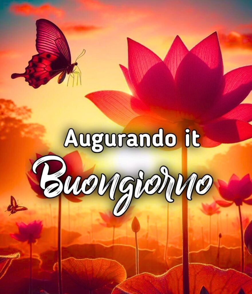 Buongiorno Buon Venerdì Augurando.it