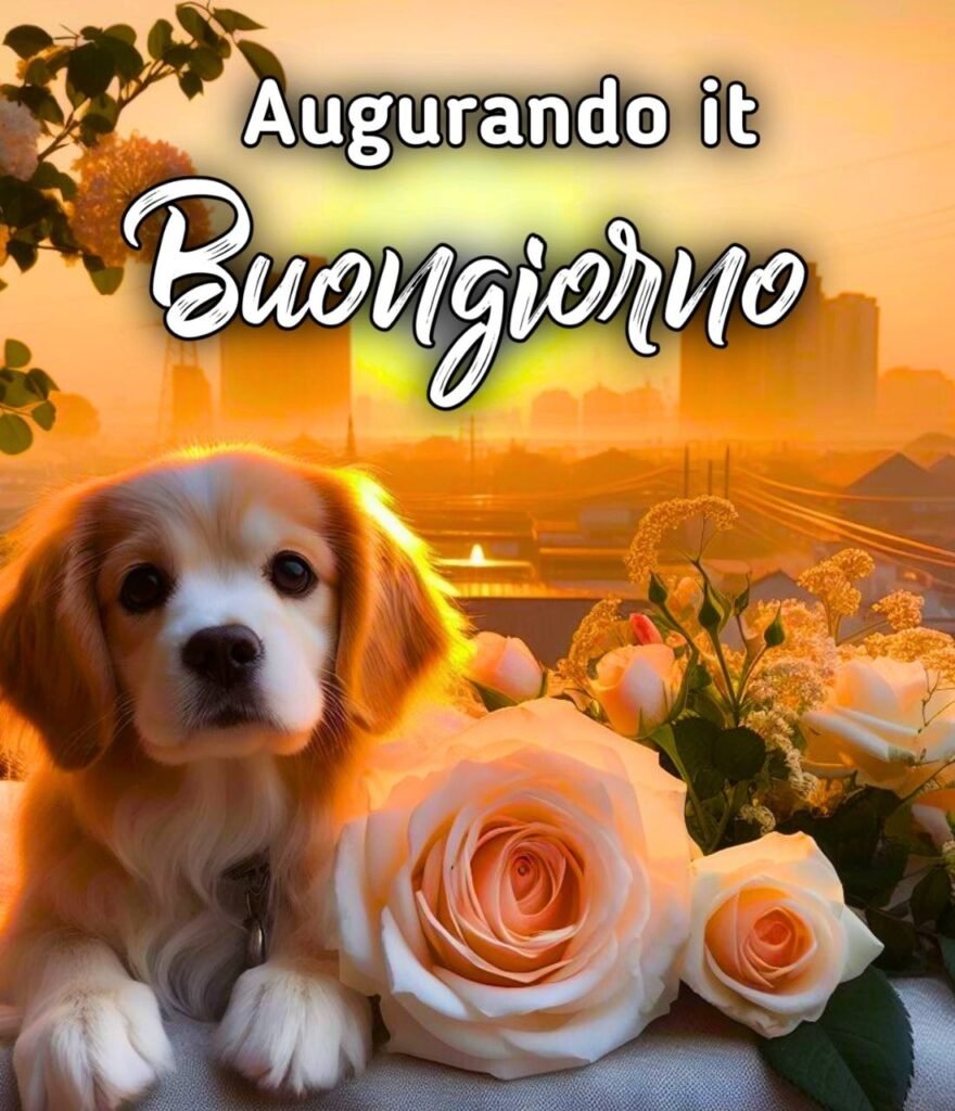 Buongiorno Buona Domenica Augurando.it