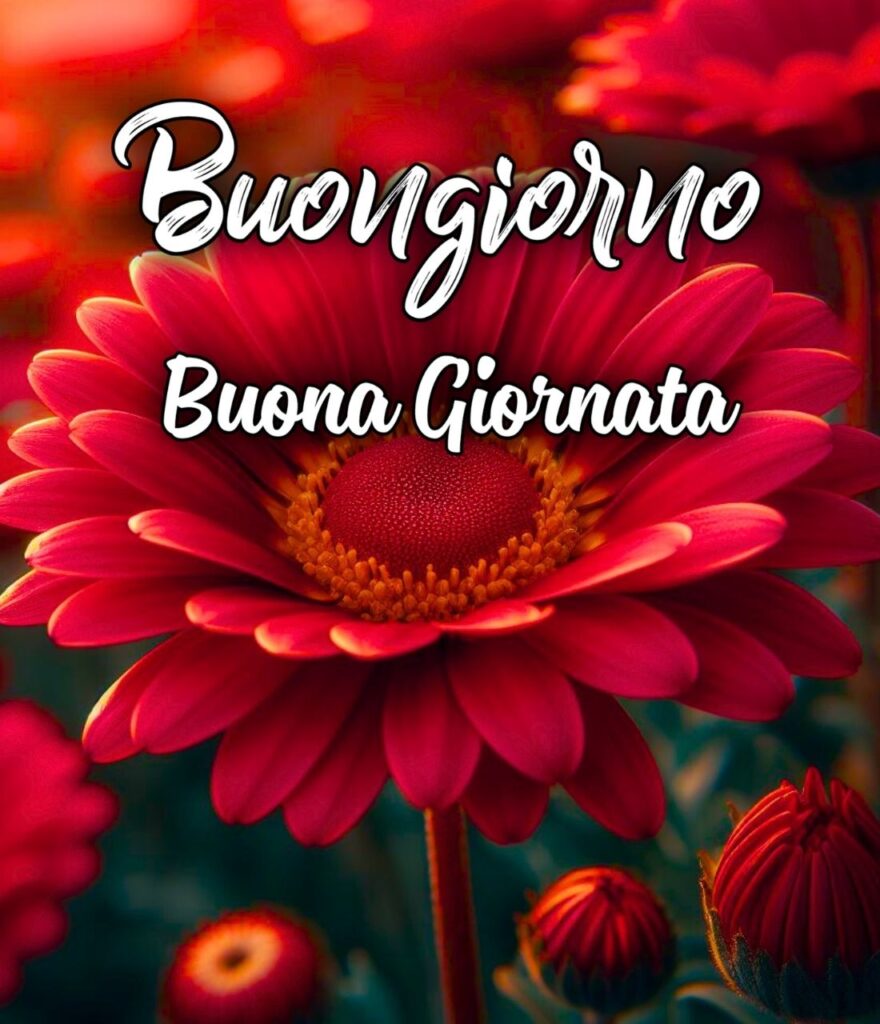 Buongiorno Buona Giornata