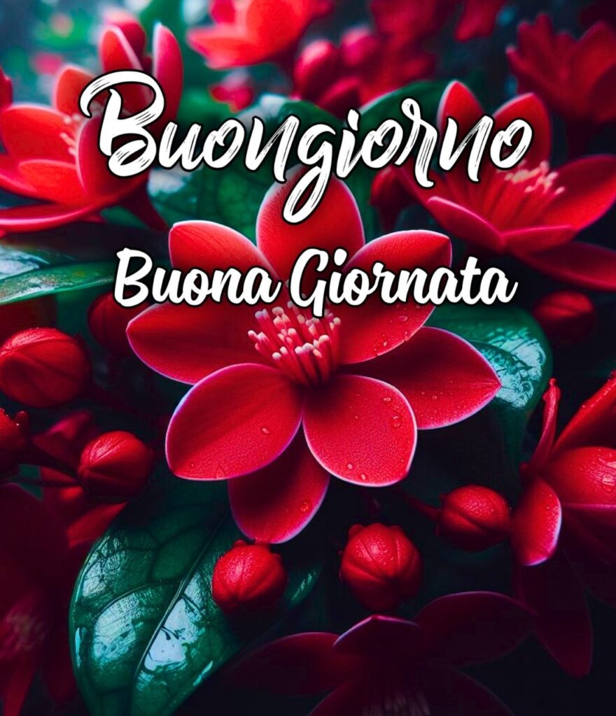 Buongiorno Buona Giornata Immagini