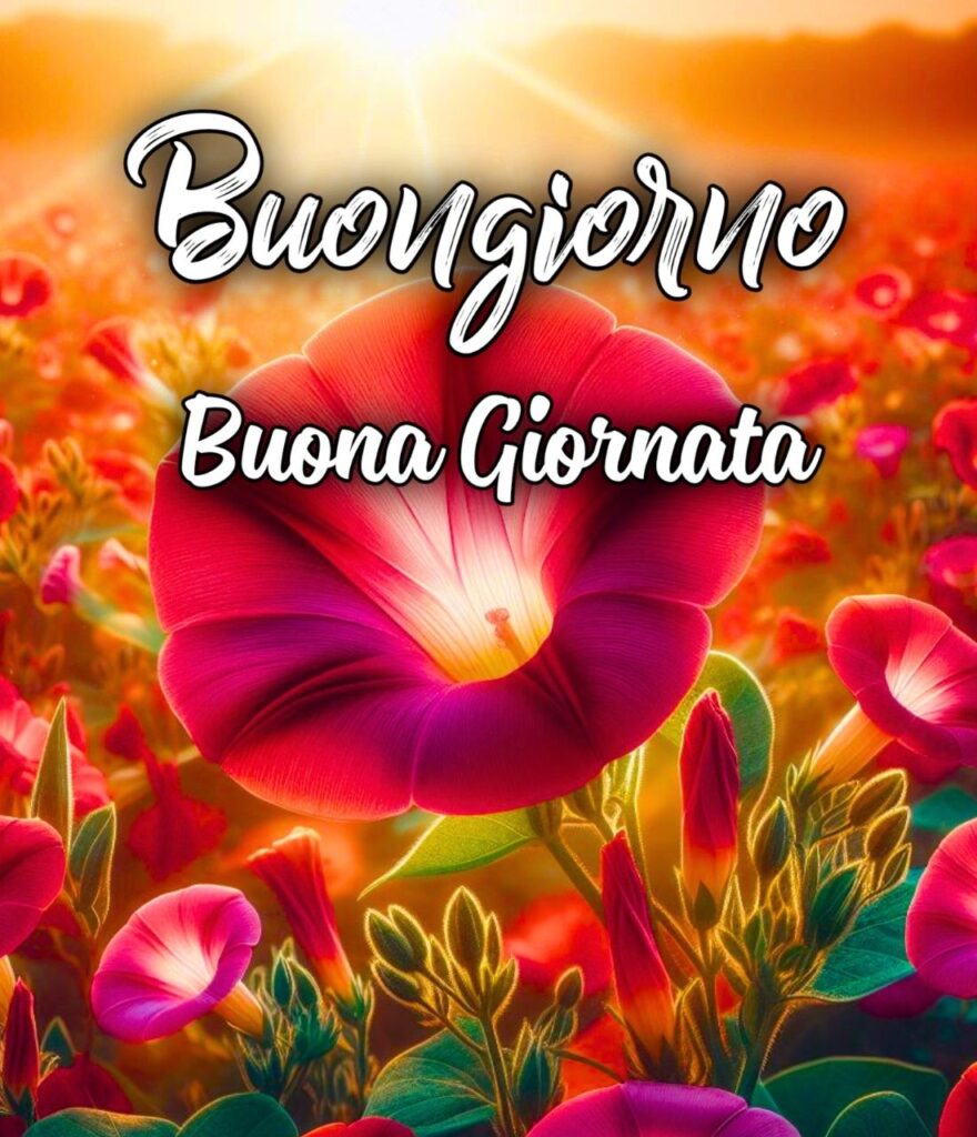 Buongiorno Buona Giornata Immagini Nuove