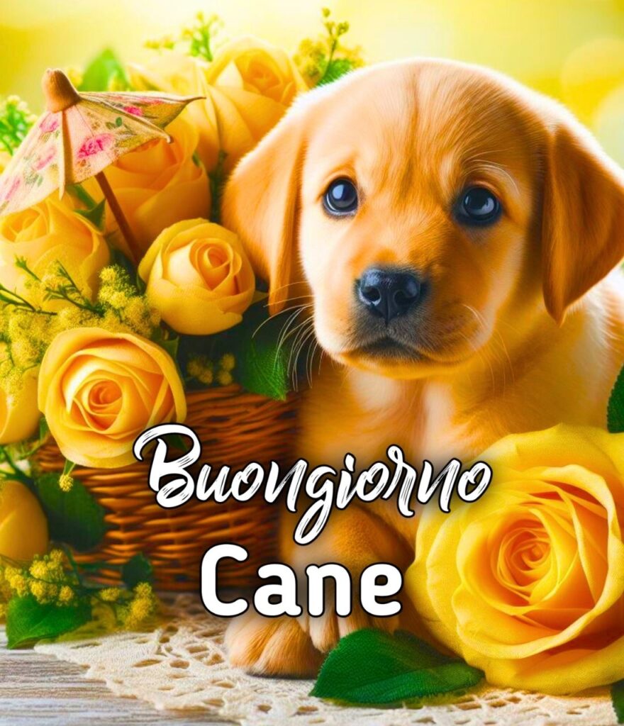 Buongiorno Con Cuccioli Di Cane