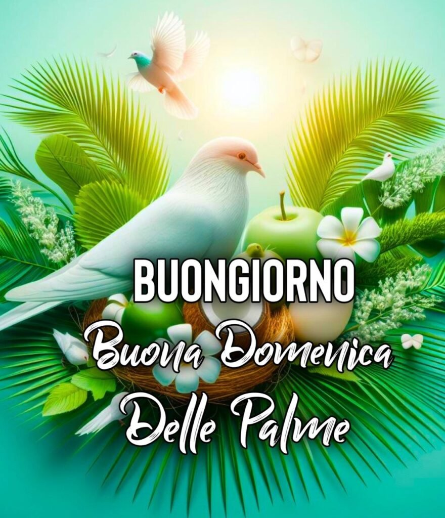 Buongiorno Domenica Delle Palme 2024