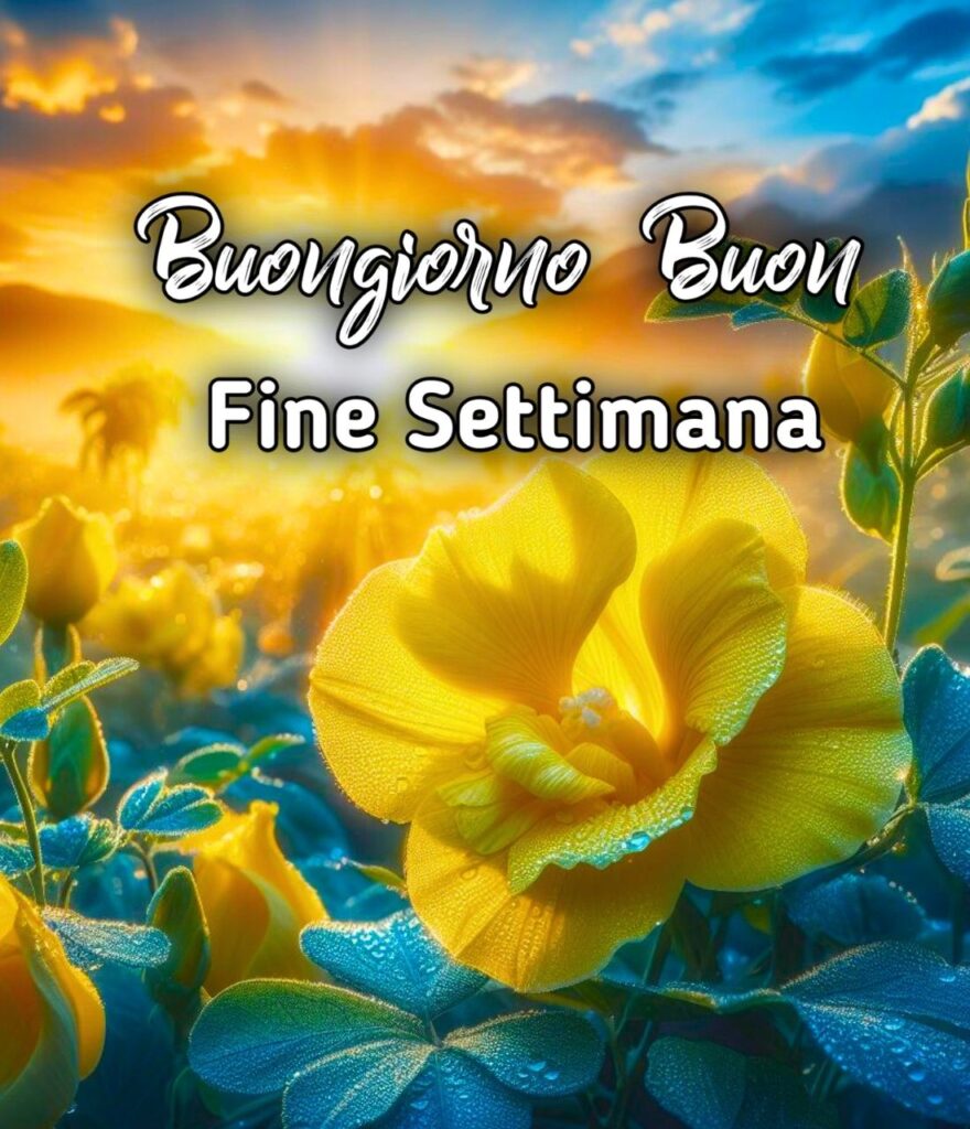 Buongiorno E Buon Fine Di Settimana