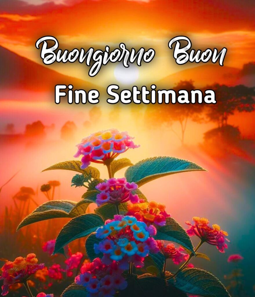 Buongiorno E Buon Fine Settimana