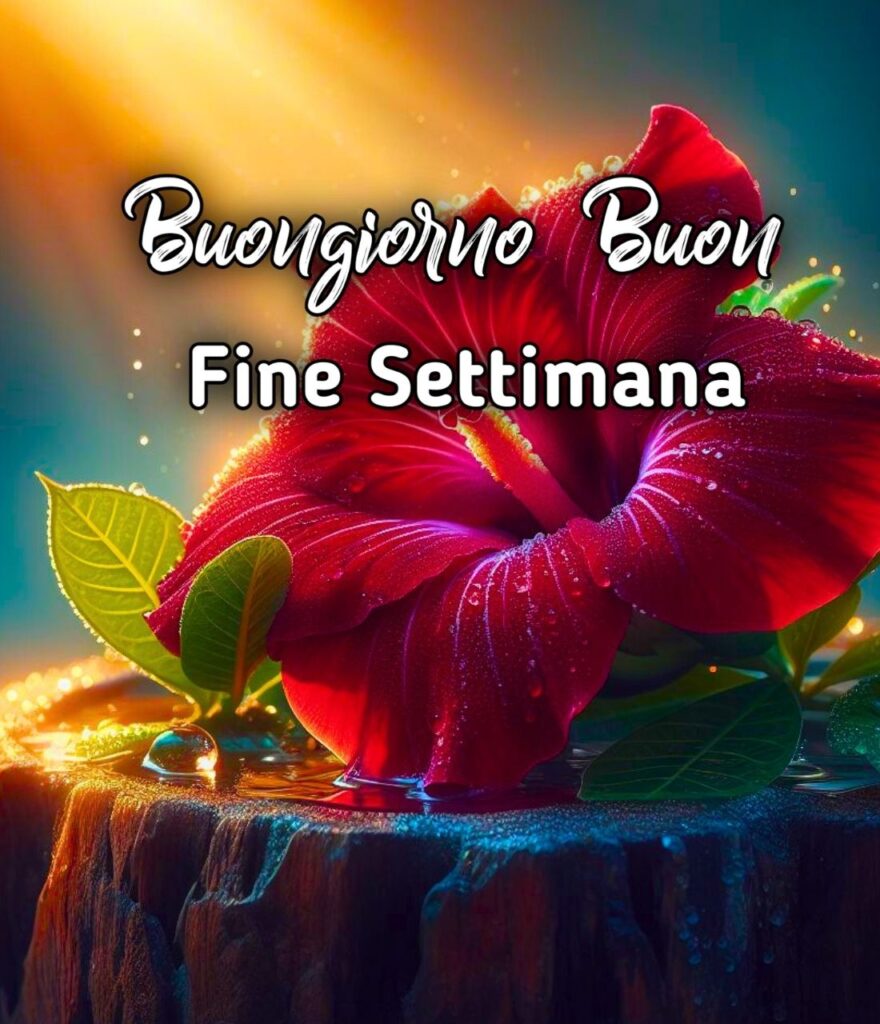 Buongiorno E Buon Fine Settimana A Tutti