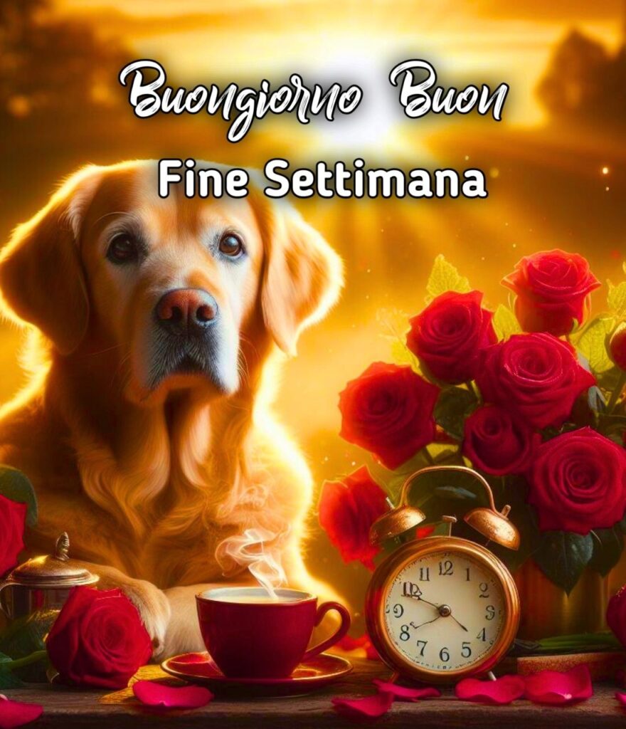 Buongiorno E Buon Fine Settimana Immagini