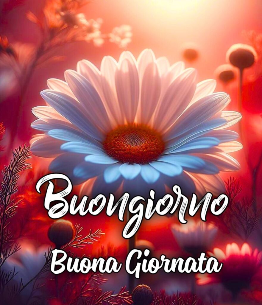 Buongiorno E Buona Giornata Gif