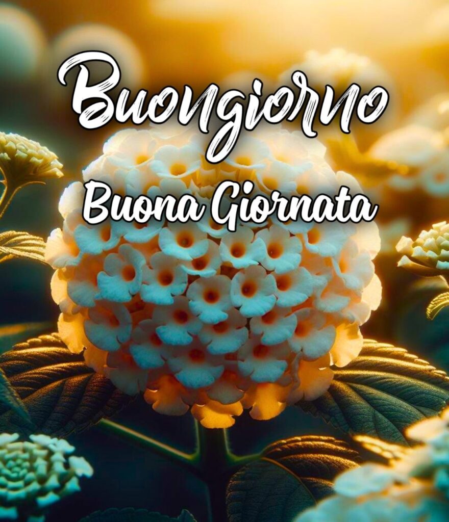 Buongiorno E Buona Giornata Immagini Nuove