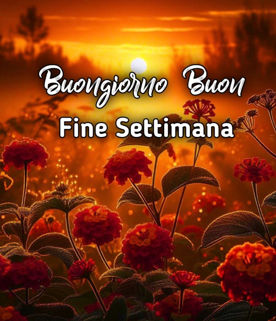 Buongiorno Felice Sabato Buon Fine Settimana