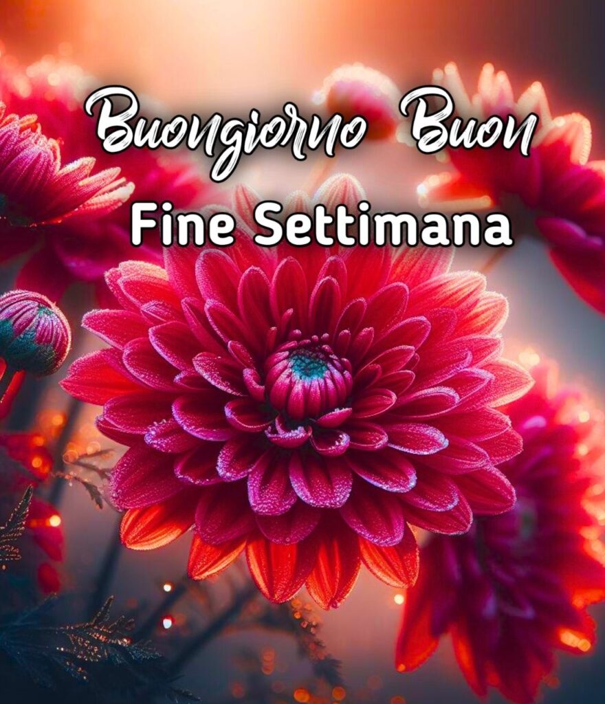 Buongiorno Felice Sabato E Buon Fine Settimana