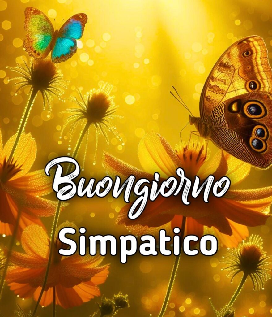 Buongiorno Frasi Simpatiche