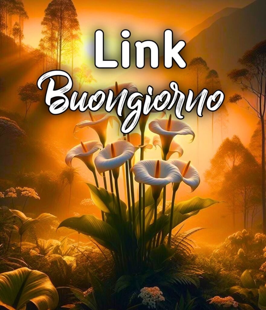 Buongiorno I Link Di Fragolina