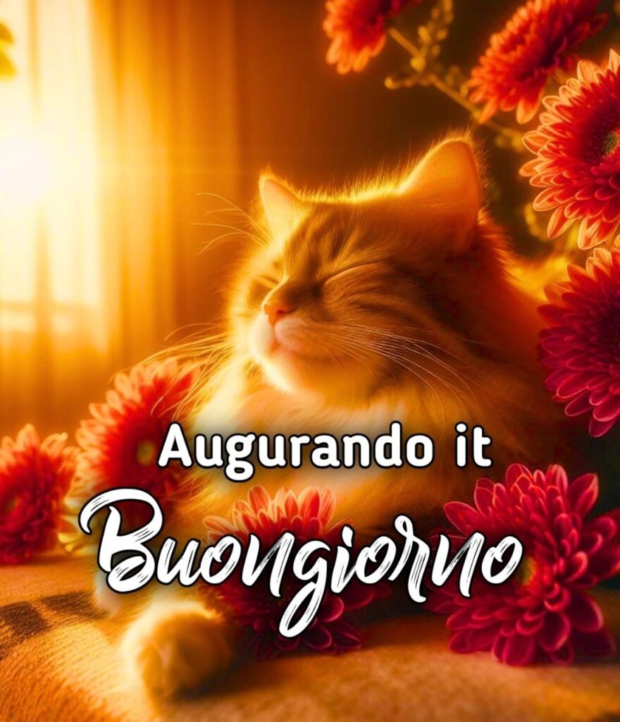 Buongiorno Immagini Augurando.it