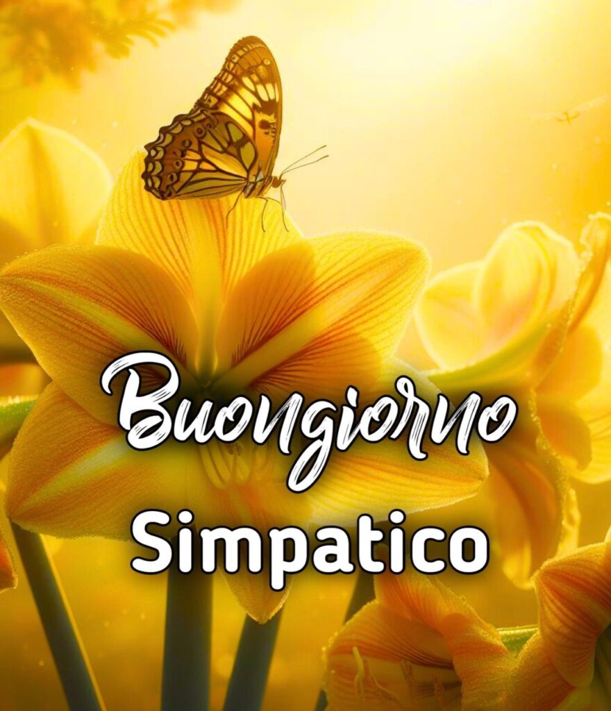 Buongiorno Immagini Simpatiche