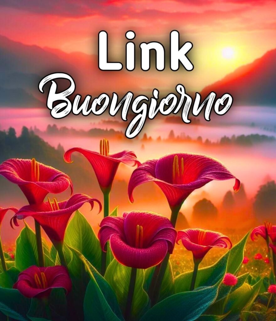 Buongiorno Link Belli