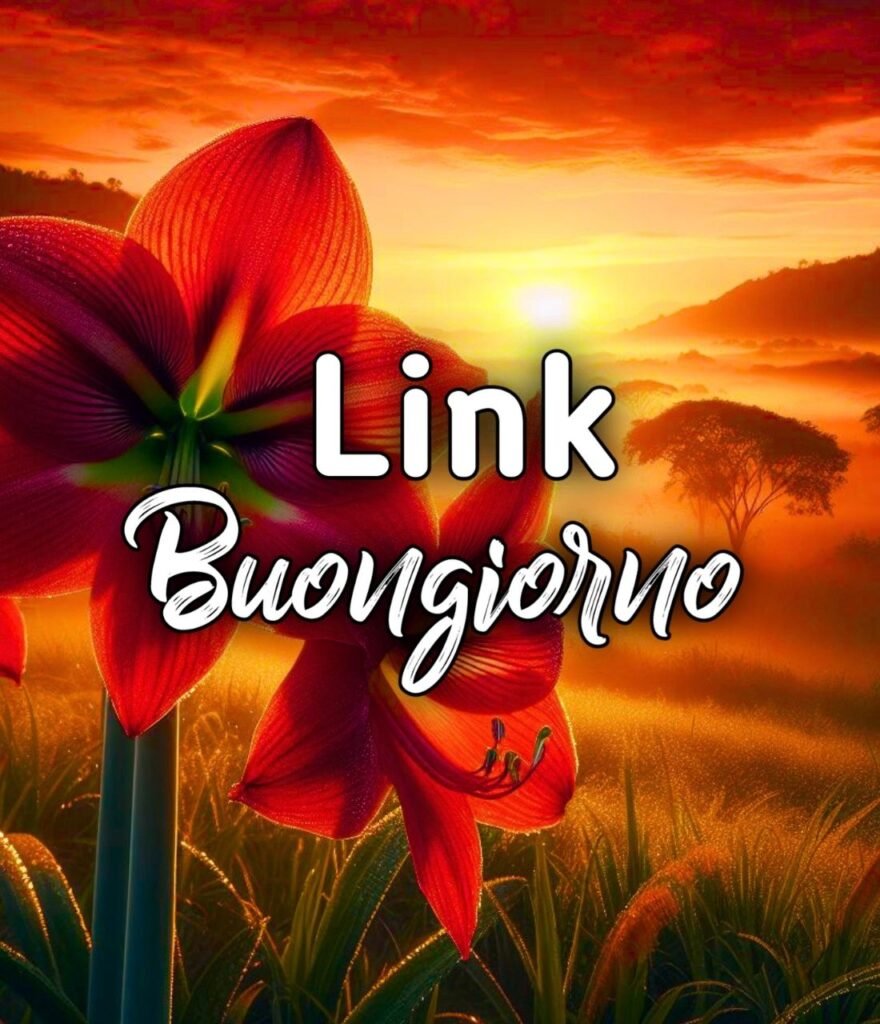 Buongiorno Link Bellissimi