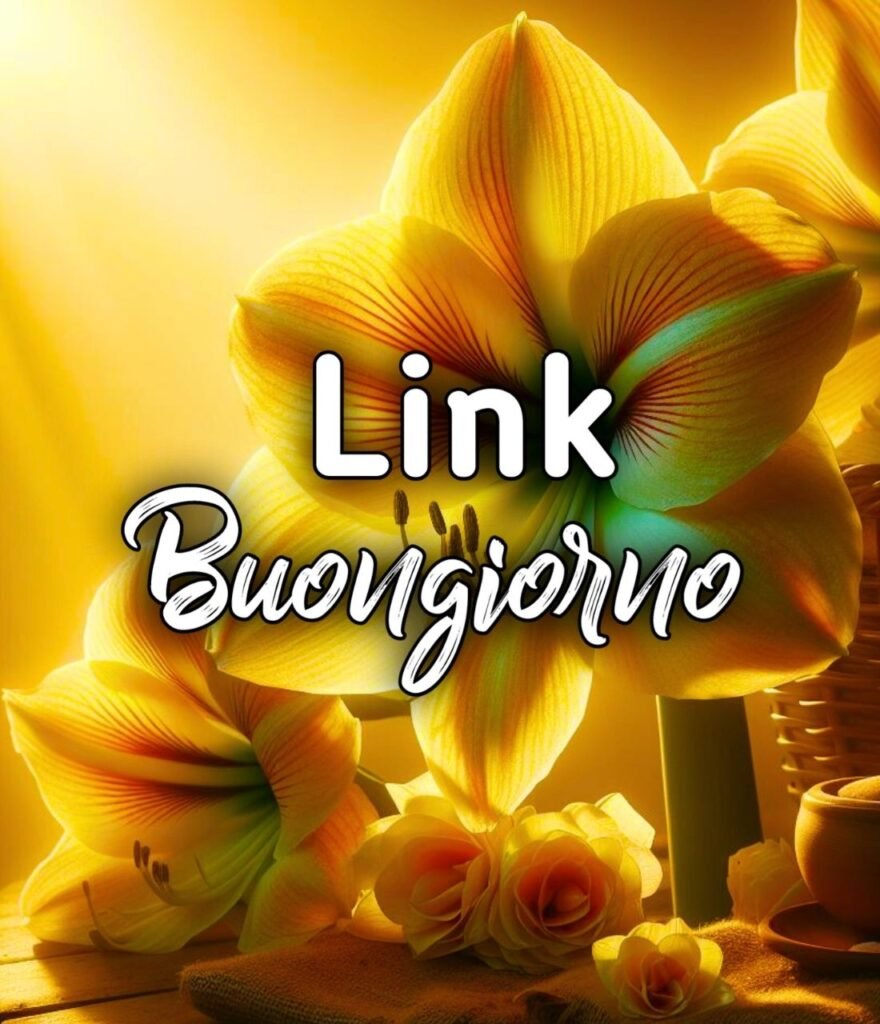 Buongiorno Link Gocce Di Rugiada