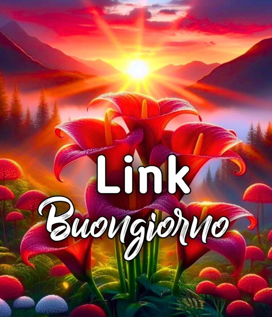 Buongiorno Link Nuovi