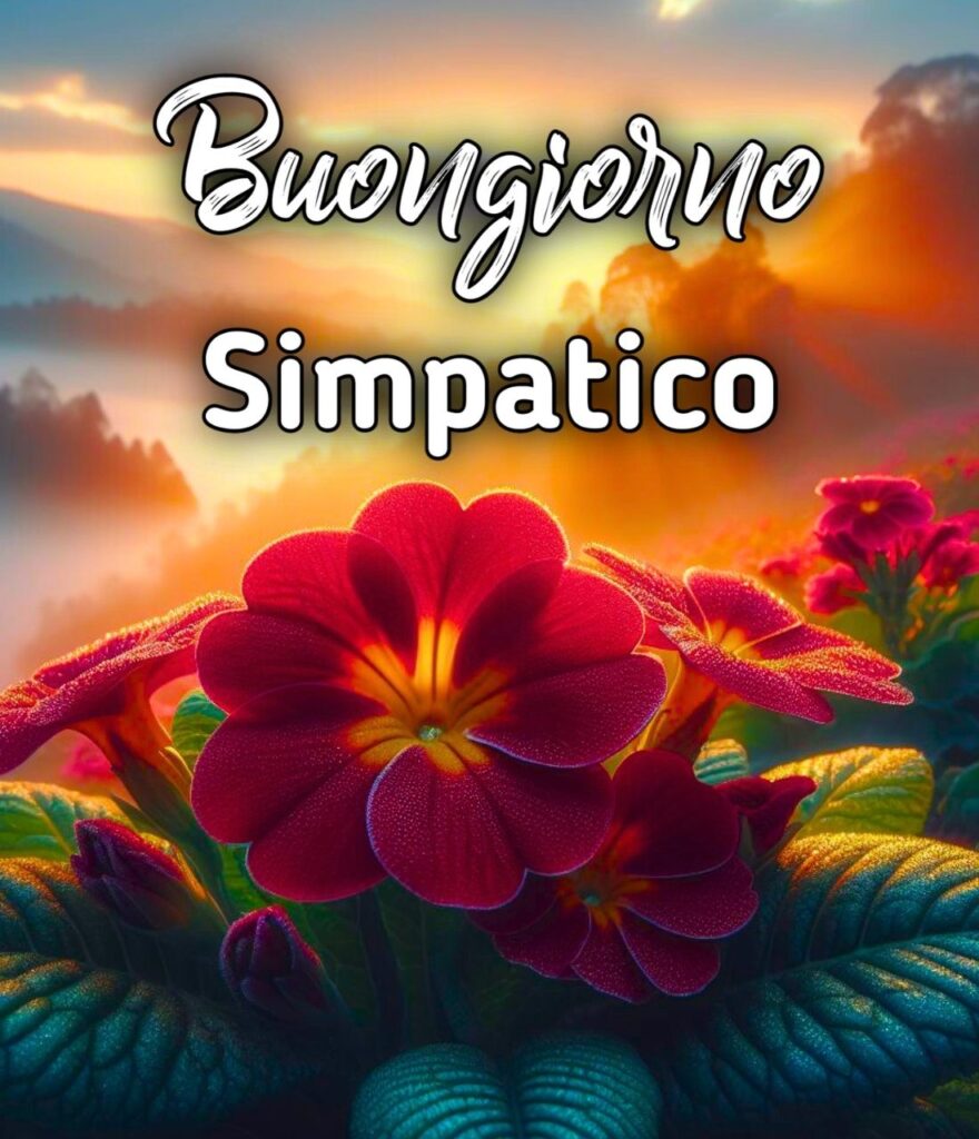 Buongiorno Martedi Simpatico