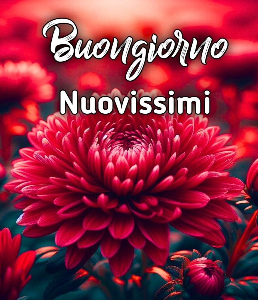 Buongiorno Nuovissimi