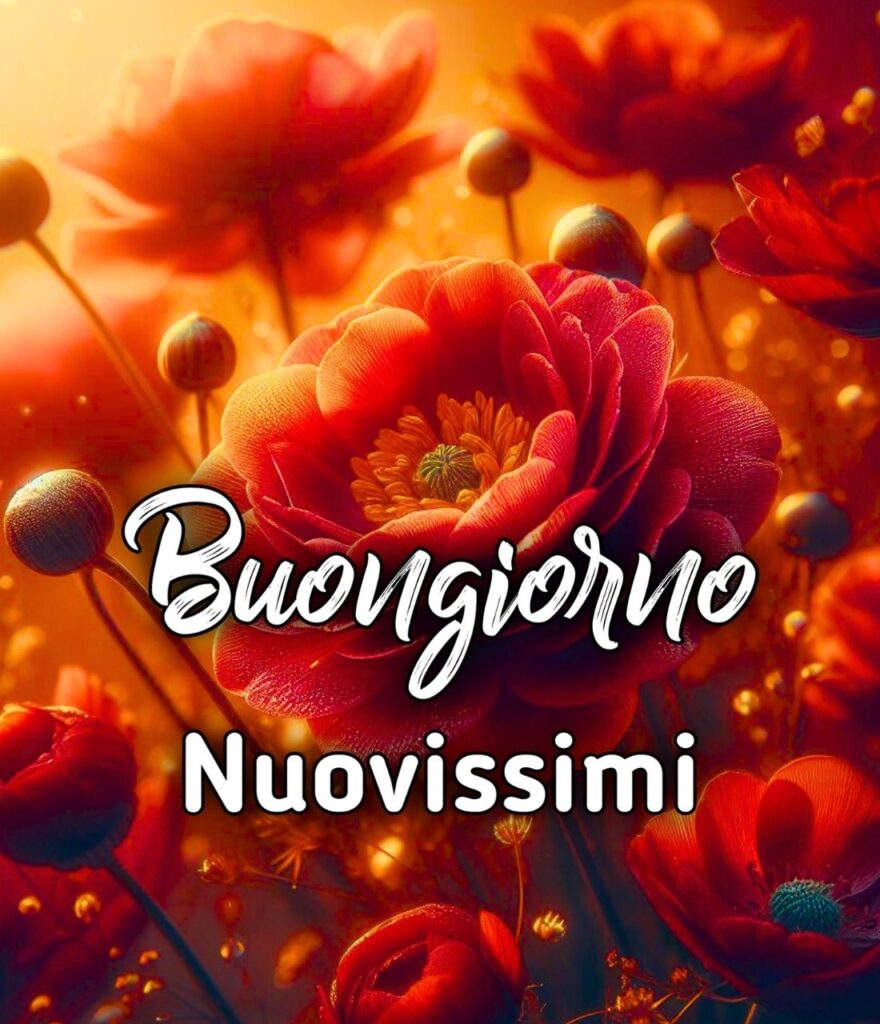 Buongiorno Nuovissimi Gif