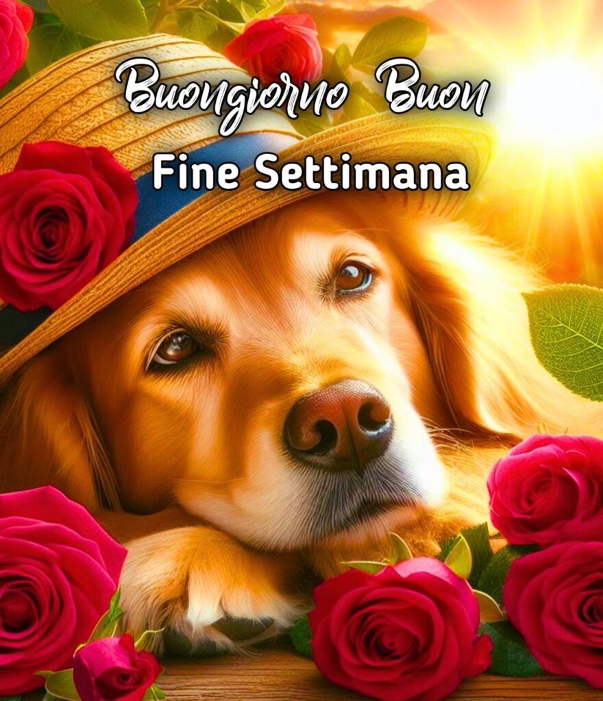 Buongiorno Sabato Buon Fine Settimana