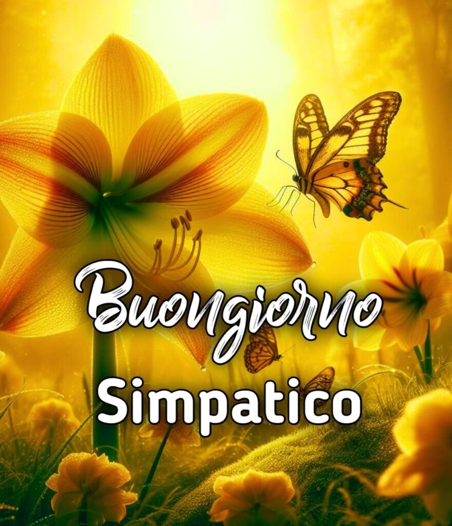 Buongiorno Simpatici