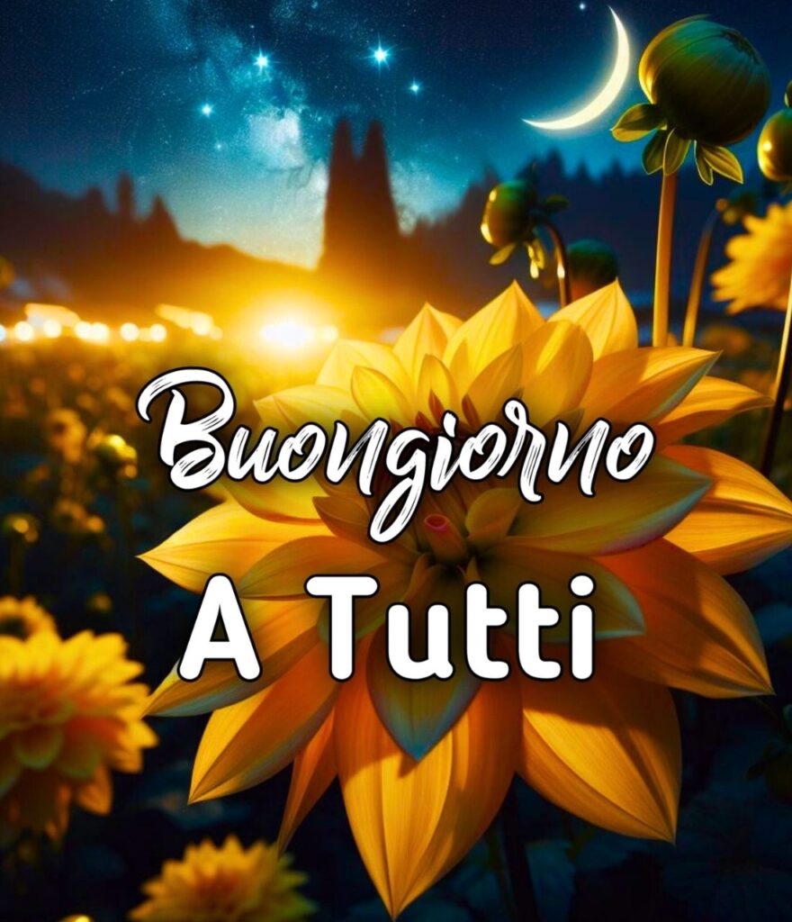 Ciao Buonanotte