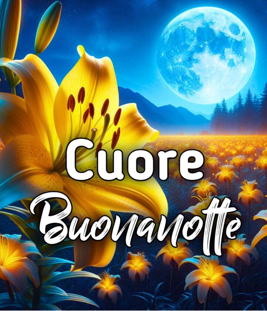 Cuore Buonanotte A Domani