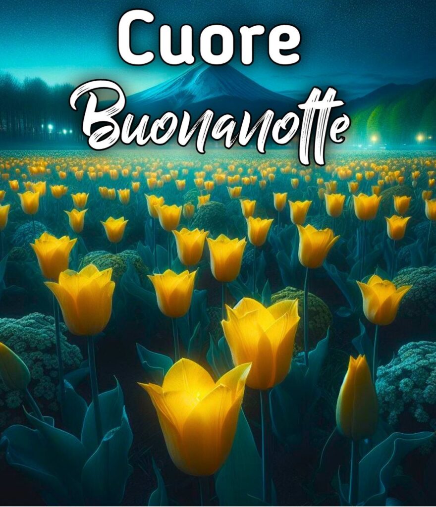 Cuore Dolce Buonanotte